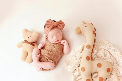 广州代怀试管生子宝宝虾的做法 广州代怀试管生子宝宝虾的做法